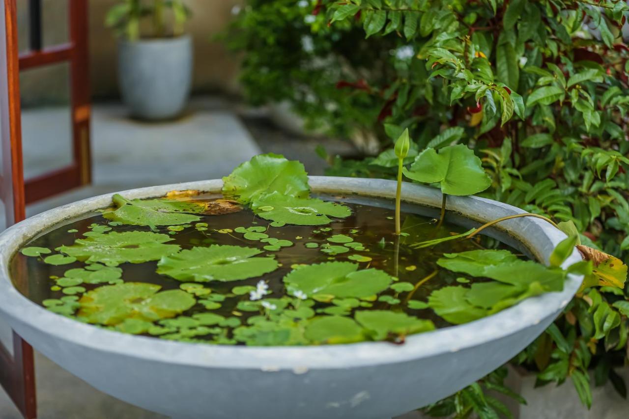 Saku Residence Unawatuna Dış mekan fotoğraf