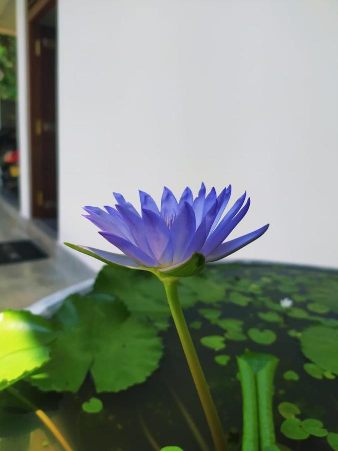 Saku Residence Unawatuna Dış mekan fotoğraf
